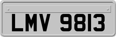 LMV9813