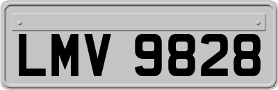LMV9828