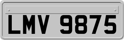 LMV9875