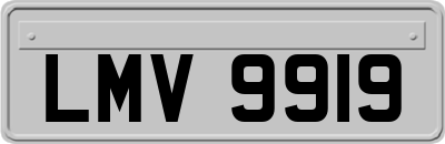 LMV9919