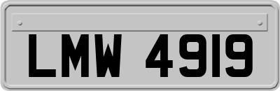LMW4919