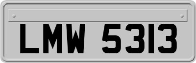 LMW5313