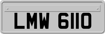 LMW6110