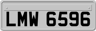 LMW6596