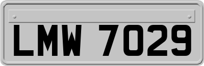 LMW7029