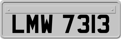 LMW7313