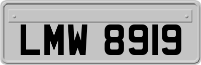 LMW8919