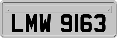LMW9163