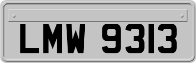 LMW9313