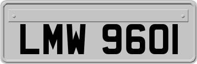 LMW9601