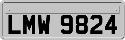 LMW9824
