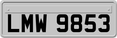 LMW9853
