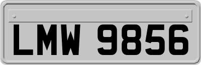 LMW9856