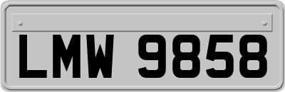 LMW9858