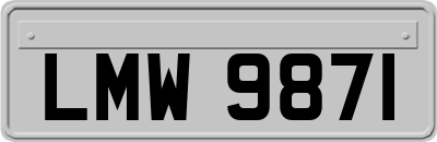 LMW9871