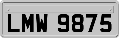 LMW9875