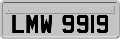 LMW9919