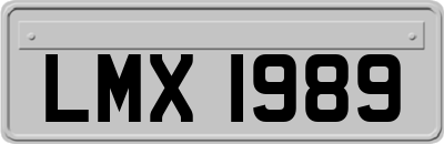 LMX1989