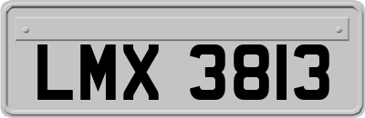LMX3813