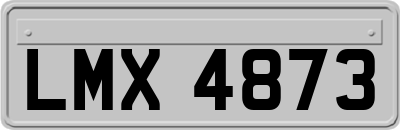 LMX4873
