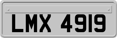 LMX4919