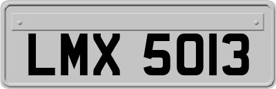 LMX5013