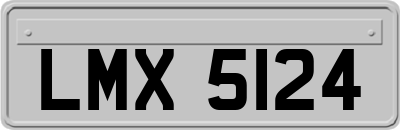 LMX5124