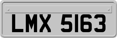 LMX5163