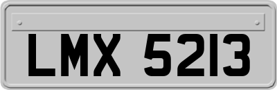 LMX5213