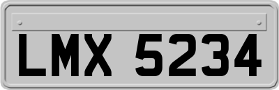 LMX5234