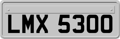 LMX5300