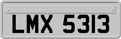 LMX5313
