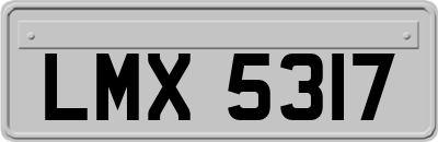 LMX5317
