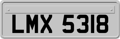 LMX5318