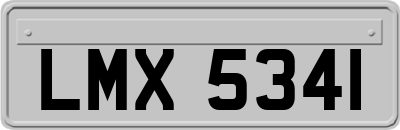 LMX5341