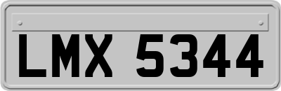 LMX5344