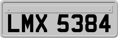 LMX5384