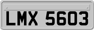 LMX5603