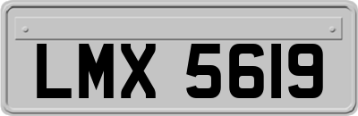 LMX5619