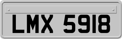 LMX5918