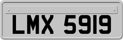 LMX5919