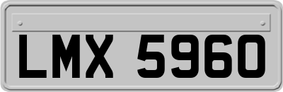 LMX5960
