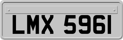 LMX5961