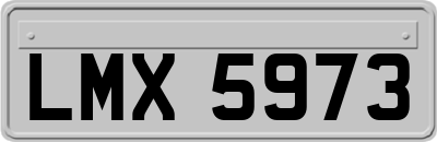 LMX5973