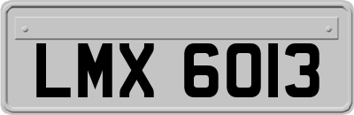 LMX6013