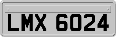 LMX6024