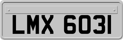 LMX6031