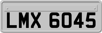 LMX6045
