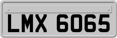 LMX6065