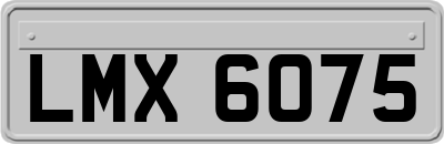 LMX6075